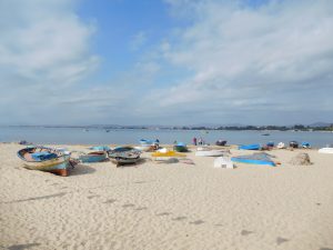 Tunisie : découvrons ensemble Hammamet Yasmine